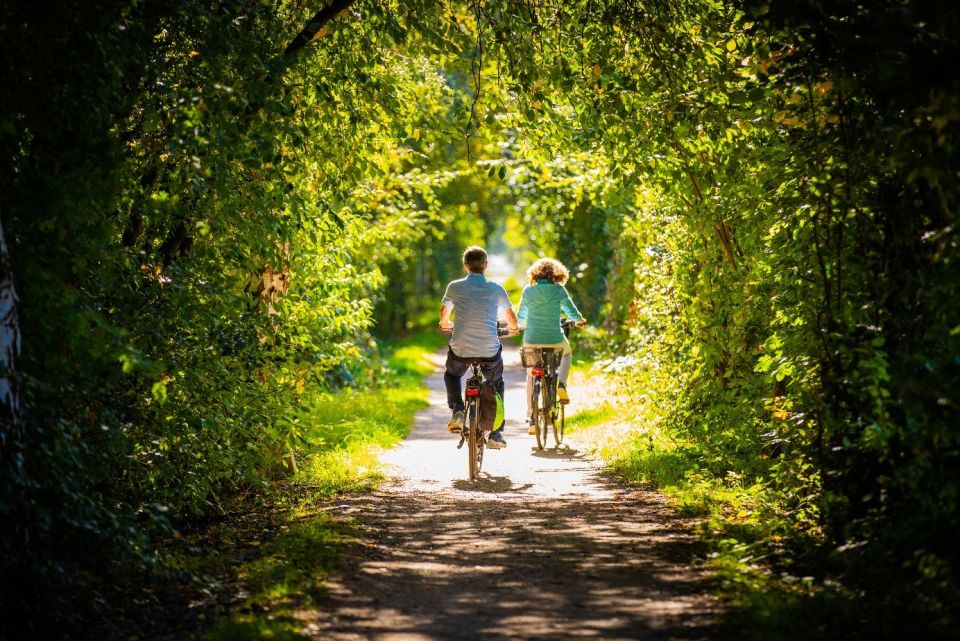 Image - Anlage eines Fahrradwanderweges auf der ehemaligen Bahntrasse zwischen Spelle und Beesten